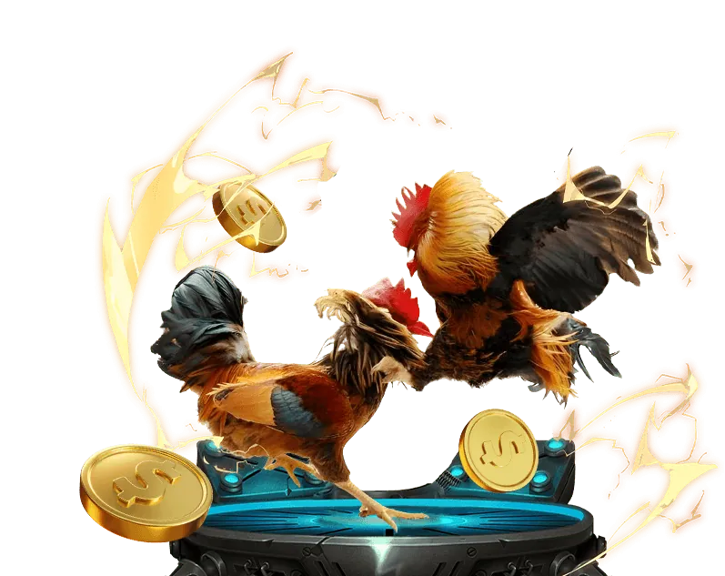 Đội ngũ chuyên nghiệp và cam kết của rg88